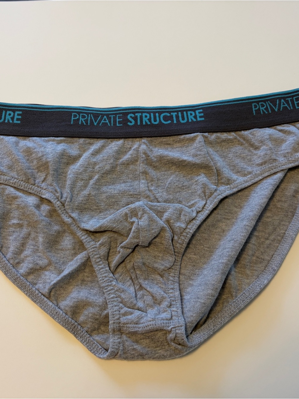 Men’s Gray Briefs with Black & Teal Waistband Private Structure